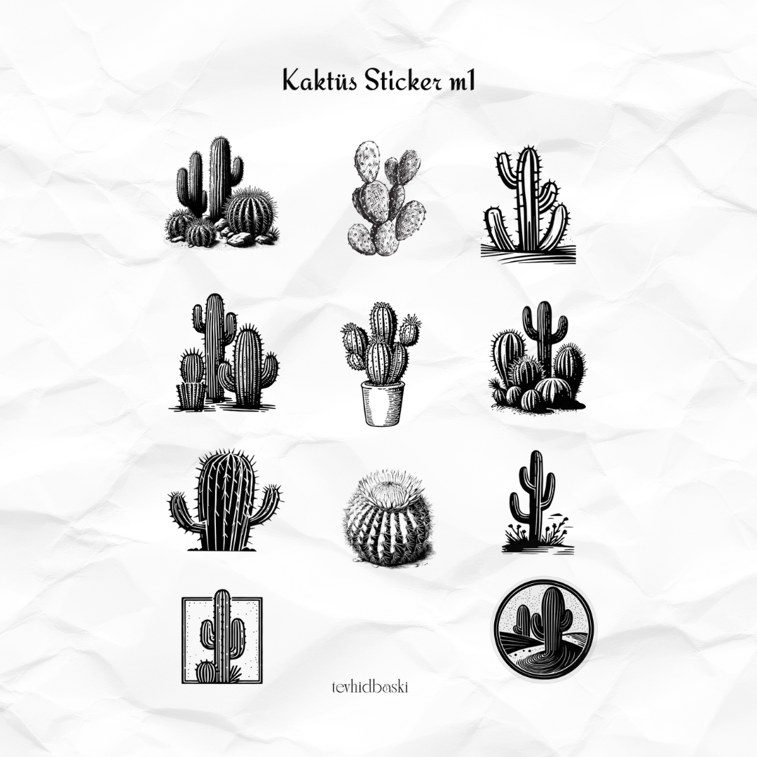kaktüsstickersetm1 Kaktüs Sticker Set - Görsel 1
